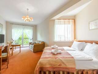 Отели типа «постель и завтрак» Villa Verdi Pleasure & Spa Леба Улучшенный двухместный номер с 1 кроватью-1